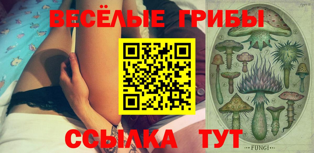 Псилоцибиновые грибы Psilocybe Малоярославец