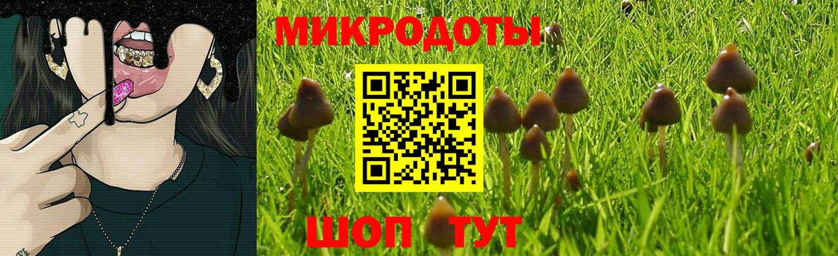 Малоярославец  Галлюциногенные грибы GOLDEN TEACHER  Вход с VPN 